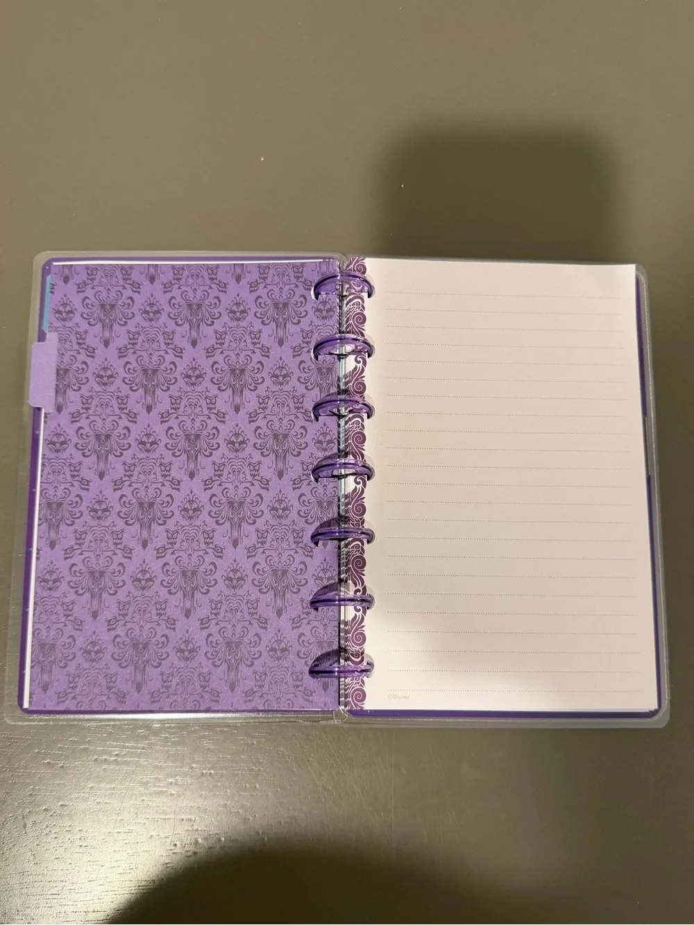 Happy Planner Haunted Mansion Mini Notebook